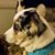 Debbie Palmer's profile image