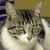 Freddy Katt's profile image