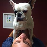 Lukrexia Davila's profile image
