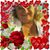 Beverly Hutchinson's profile image