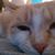 Melissa Kness McMann's profile image