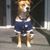 Kris Cagnone's profile image