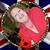 Karen Festag's profile image
