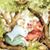 Donna Leskosek's profile image