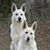 Cathy Walter Wasman's profile image