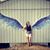 Destiney Theisen's profile image