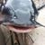 Rachel Terhune Holt's profile image