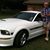 Jack Ely's profile image
