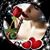 Noemi Torres's profile image