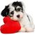 The Fur Bee's profile image