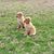 Amanda Stroup's profile image