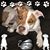 Sally Leite's profile image