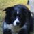 Tommy Naff's profile image