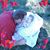 Matt Thunberg's profile image