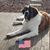 Michille-David Townsend-Traskos's profile image