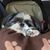 Pamela Komis Heckmann's profile image