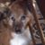 Jon Craig's profile image