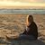 Christina Estella's profile image