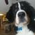 Kim Weaver Benedict's profile image
