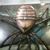 Julio Figueroa's profile image