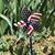 Linda Murphy Arnold's profile image