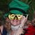 Virginia Ray's profile image