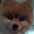 Lisa Noska Camacho's profile image