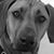 Bonnie VanderWell's profile image
