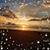 DeAnna Pickering James's profile image