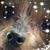 Trish Shafer's profile image