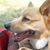 Sandi Davis's profile image