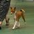 Andrea Steedle Walters's profile image