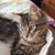 Beth Chase's profile image