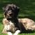 Patricia Harvey Root's profile image