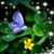 Ann Johansen's profile image