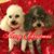 Cathie Daugherty's profile image