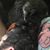 Daniel Benjamin Christopher Rhodes's profile image