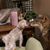 Davine Conover's profile image