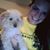 Karen Culp's profile image