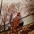 Lynda Bradshaw's profile image