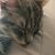 Bec Mifsud's profile image