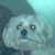 Mar-Lynn Weaver's profile image