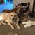 Nancy Olwill Easton's profile image