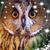 Patti Liszewski's profile image
