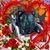 Kristi Lowery Flack's profile image