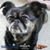 Diane Durand's profile image