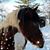 Amy Sevy's profile image