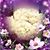 Michelle Patrick's profile image