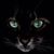 Vickie Akers Williams's profile image