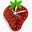 Copper Moon Studio's profile image